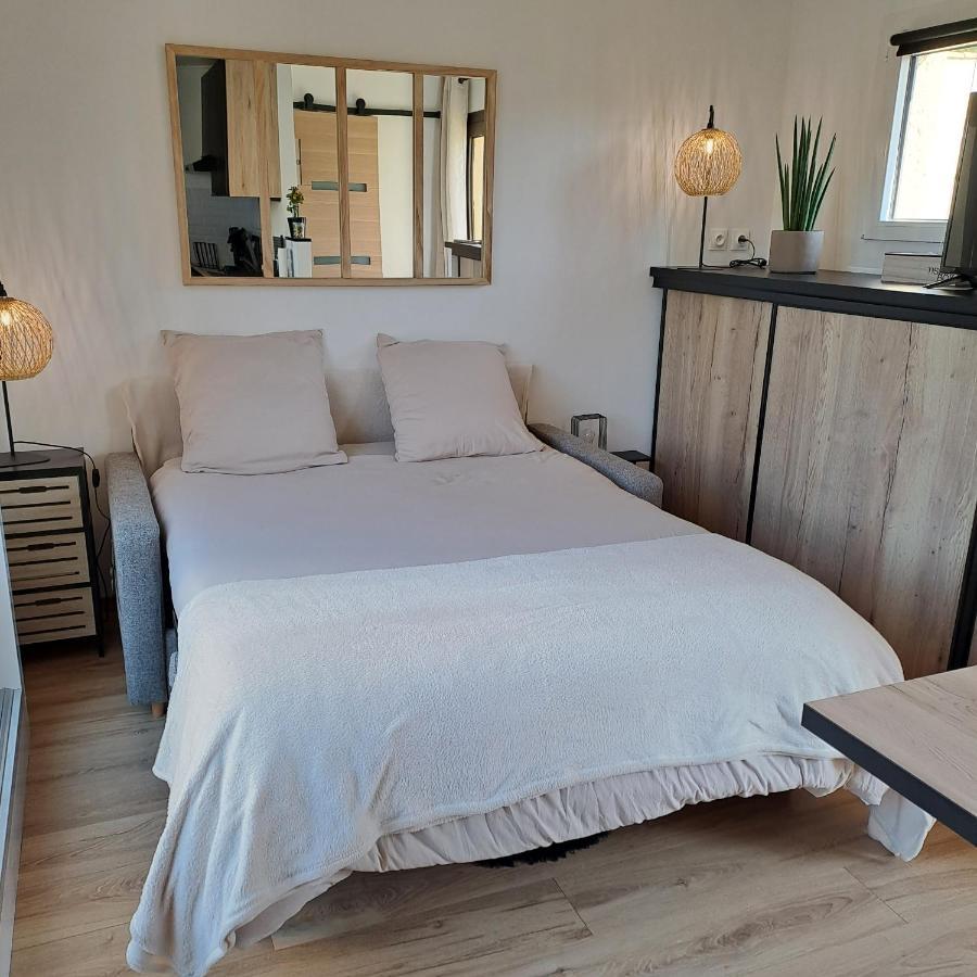 Studio Climatise Cosy Avec Grande Piscine Chauffee 阿格德 外观 照片